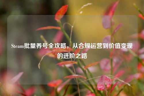 Steam批量养号全攻略,从合规运营到价值变现的进阶之路