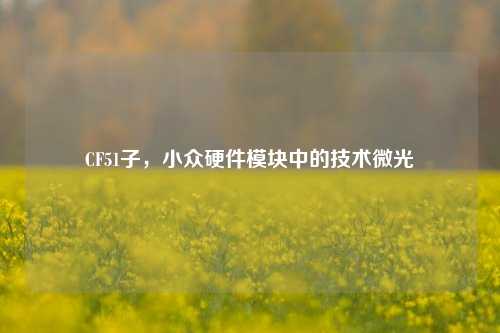 CF51子,小众硬件模块中的技术微光