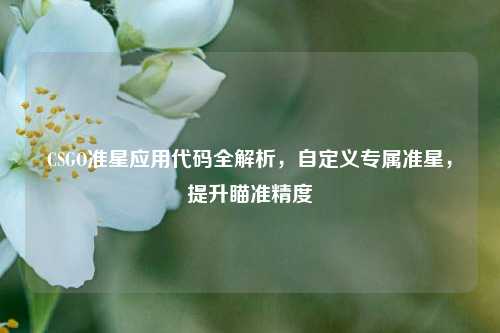 CSGO准星应用代码全解析，自定义专属准星，提升瞄准精度