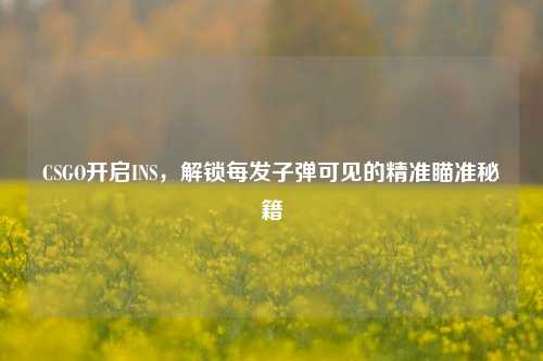 CSGO开启INS,解锁每发子弹可见的精准瞄准秘籍