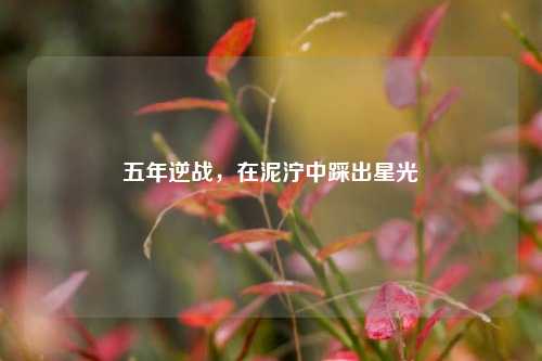 五年逆战,在泥泞中踩出星光