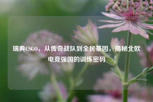 瑞典CSGO,从传奇战队到全民基因,揭秘北欧电竞强国的训练密码