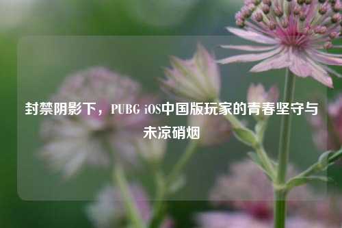封禁阴影下,PUBG iOS中国版玩家的青春坚守与未凉硝烟
