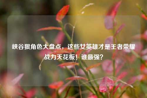峡谷狠角色大盘点，这些女英雄才是王者荣耀战力天花板！谁最强？