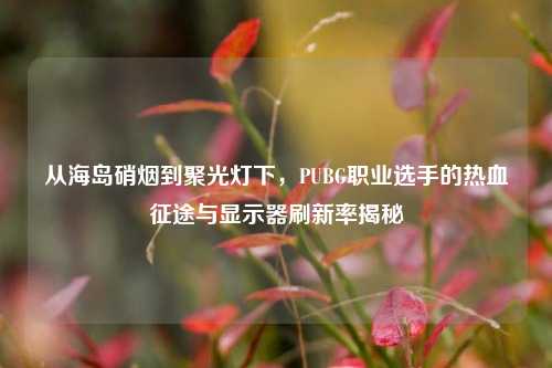 从海岛硝烟到聚光灯下,PUBG职业选手的热血征途与显示器刷新率揭秘