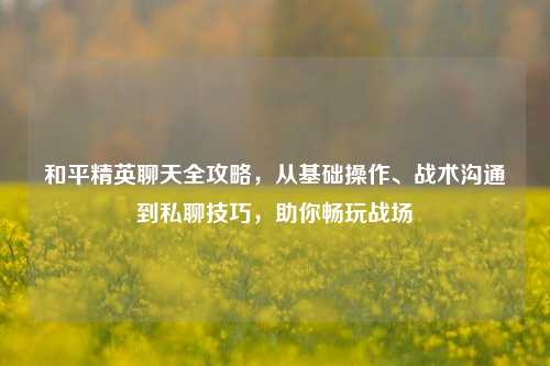和平精英聊天全攻略,从基础操作、战术沟通到私聊技巧,助你畅玩战场