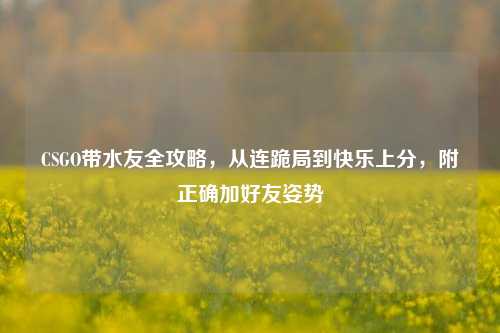 CSGO带水友全攻略,从连跪局到快乐上分,附正确加好友姿势