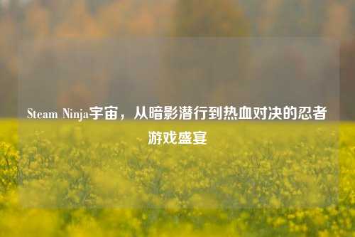 Steam Ninja宇宙,从暗影潜行到热血对决的忍者游戏盛宴
