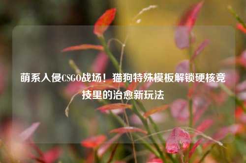 萌系入侵CSGO战场!猫狗特殊模板解锁硬核竞技里的治愈新玩法