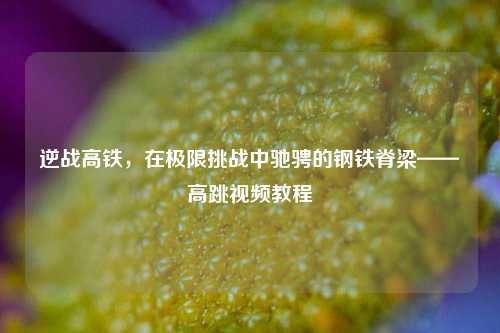 逆战高铁,在极限挑战中驰骋的钢铁脊梁——高跳视频教程