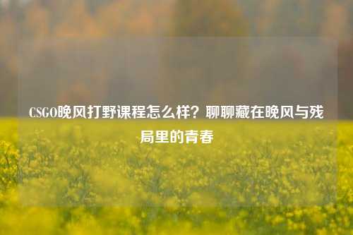 CSGO晚风打野课程怎么样?聊聊藏在晚风与残局里的青春