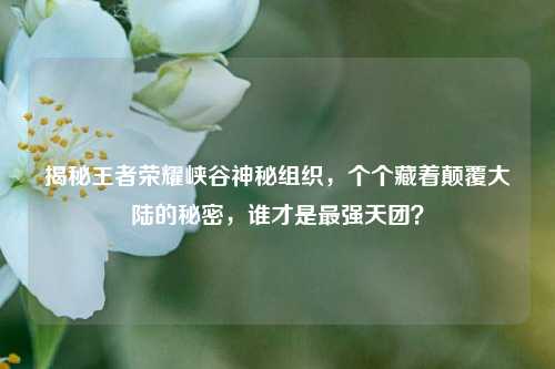 揭秘王者荣耀峡谷神秘组织,个个藏着颠覆大陆的秘密,谁才是最强天团?