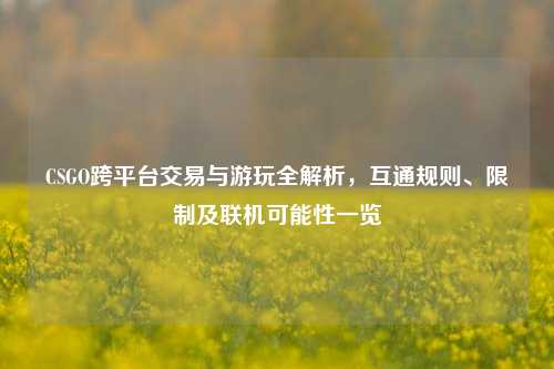 CSGO跨平台交易与游玩全解析,互通规则、限制及联机可能性一览