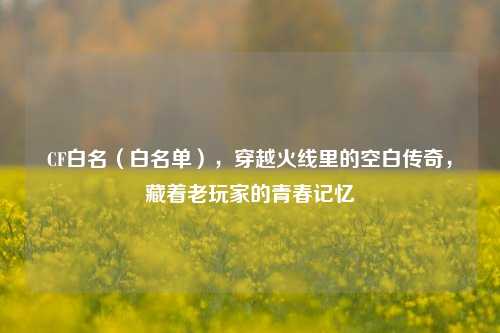 CF白名(白名单),穿越火线里的空白传奇,藏着老玩家的青春记忆