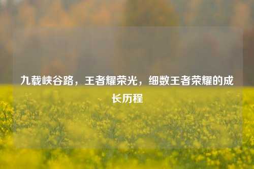 九载峡谷路,王者耀荣光,细数王者荣耀的成长历程