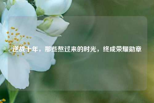 逆战十年,那些熬过来的时光,终成荣耀勋章
