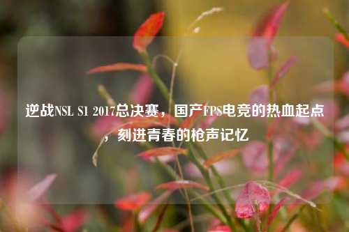 逆战NSL S1 2017总决赛,国产FPS电竞的热血起点,刻进青春的枪声记忆