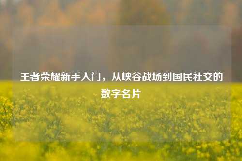 王者荣耀新手入门,从峡谷战场到国民社交的数字名片