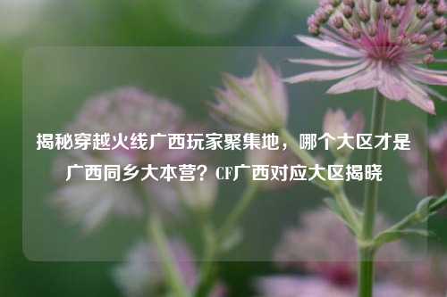 揭秘穿越火线广西玩家聚集地,哪个大区才是广西同乡大本营?CF广西对应大区揭晓