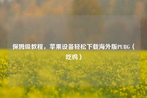 保姆级教程,苹果设备轻松下载海外版PUBG(吃鸡)
