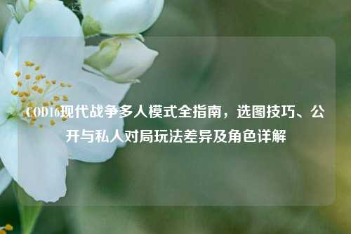COD16现代战争多人模式全指南,选图技巧、公开与私人对局玩法差异及角色详解