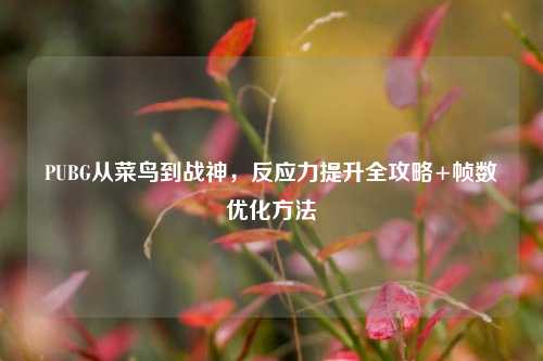 PUBG从菜鸟到战神，反应力提升全攻略+帧数优化方法