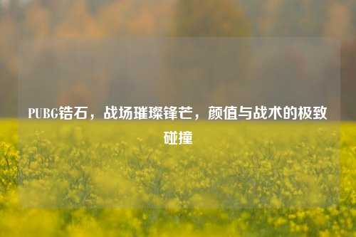 PUBG锆石，战场璀璨锋芒，颜值与战术的极致碰撞
