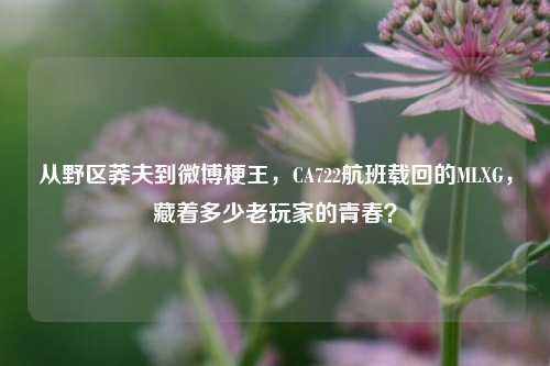 从野区莽夫到微博梗王,CA722航班载回的MLXG,藏着多少老玩家的青春?