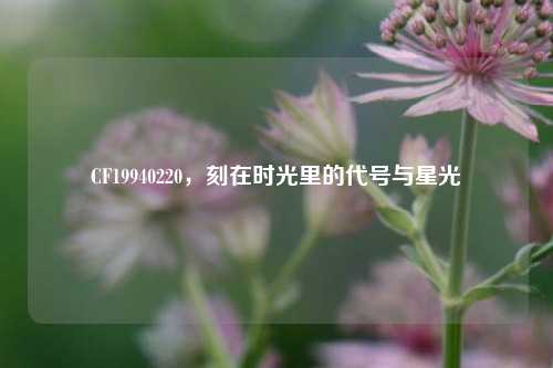 CF19940220,刻在时光里的代号与星光