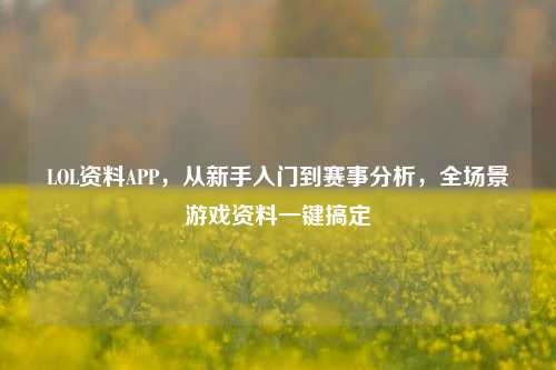 LOL资料APP,从新手入门到赛事分析,全场景游戏资料一键搞定