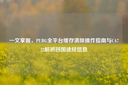 一文掌握,PUBG全平台缓存清除操作指南与CA722航班回国途经信息