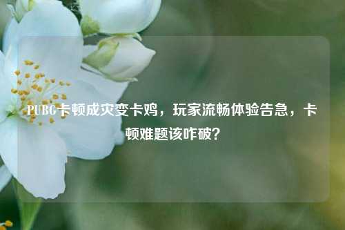 PUBG卡顿成灾变卡鸡,玩家流畅体验告急,卡顿难题该咋破?