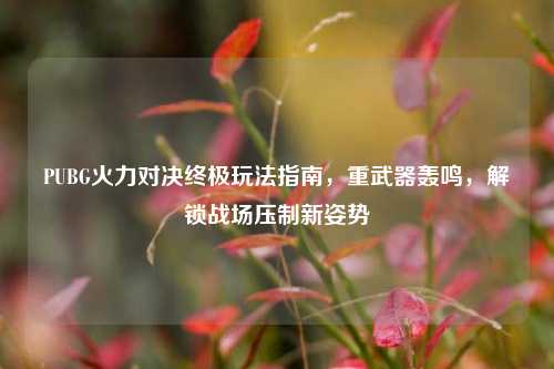 PUBG火力对决终极玩法指南，重武器轰鸣，解锁战场压制新姿势