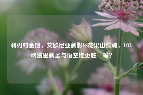 利刃对金箍,艾欧尼亚剑影VS花果山猴魂,LOL动漫里剑圣与悟空谁更胜一筹?