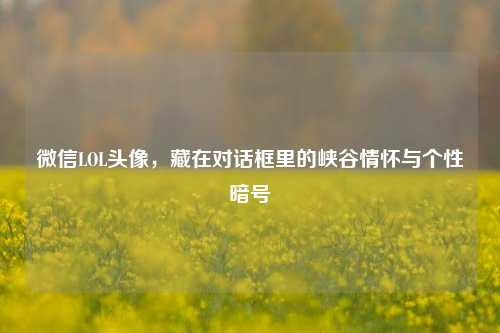 微信LOL头像,藏在对话框里的峡谷情怀与个性暗号