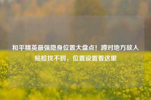 和平精英最强隐身位置大盘点!蹲对地方敌人贴脸找不到,位置设置看这里