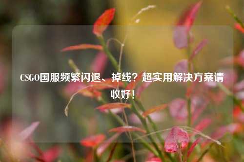 CSGO国服频繁闪退、掉线?超实用解决方案请收好!