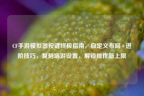 CF手游模拟器按键终极指南,自定义布局+进阶技巧,复刻端游设置,解锁操作新上限