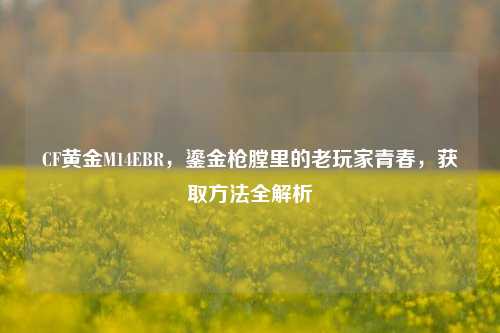 CF黄金M14EBR,鎏金枪膛里的老玩家青春,获取方法全解析