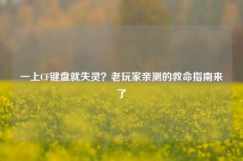一上CF键盘就失灵?老玩家亲测的救命指南来了