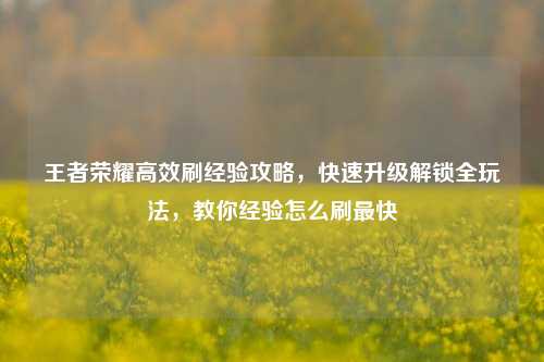 王者荣耀高效刷经验攻略,快速升级解锁全玩法,教你经验怎么刷最快