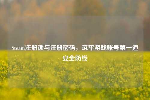 Steam注册锁与注册密码,筑牢游戏账号第一道安全防线