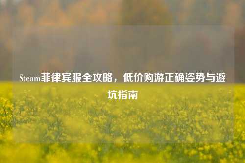 Steam菲律宾服全攻略，低价购游正确姿势与避坑指南