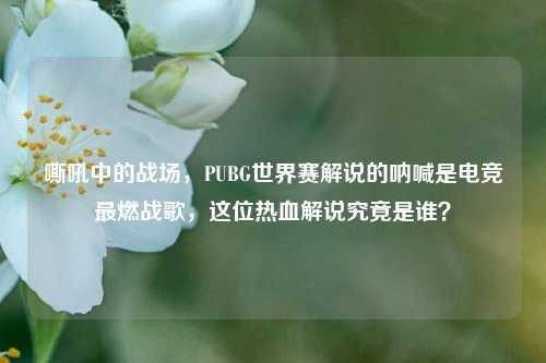 嘶吼中的战场,PUBG世界赛解说的呐喊是电竞最燃战歌,这位热血解说究竟是谁?