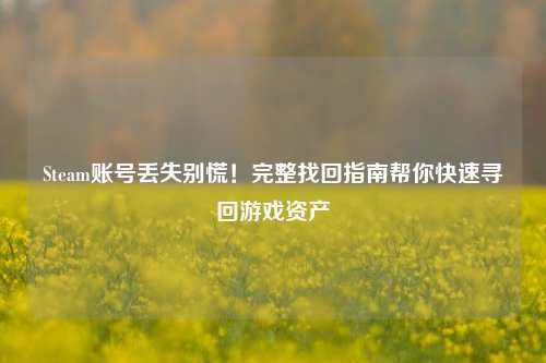 Steam账号丢失别慌!完整找回指南帮你快速寻回游戏资产