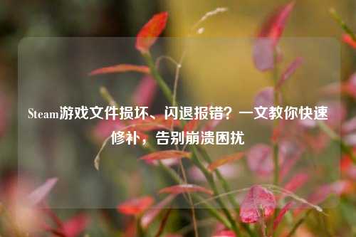 Steam游戏文件损坏、闪退报错?一文教你快速修补,告别崩溃困扰