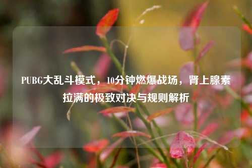 PUBG大乱斗模式,10分钟燃爆战场,肾上腺素拉满的极致对决与规则解析