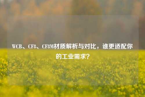 WCB、CF8、CF8M材质解析与对比,谁更适配你的工业需求?