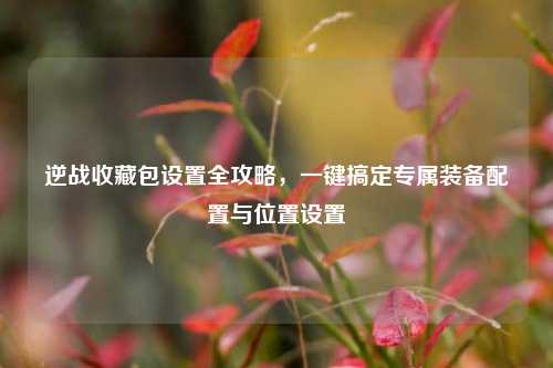 逆战收藏包设置全攻略,一键搞定专属装备配置与位置设置