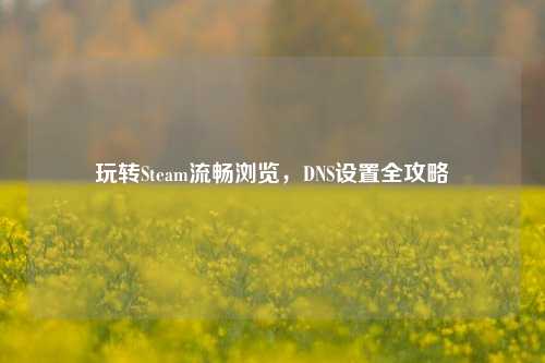 玩转Steam流畅浏览,DNS设置全攻略